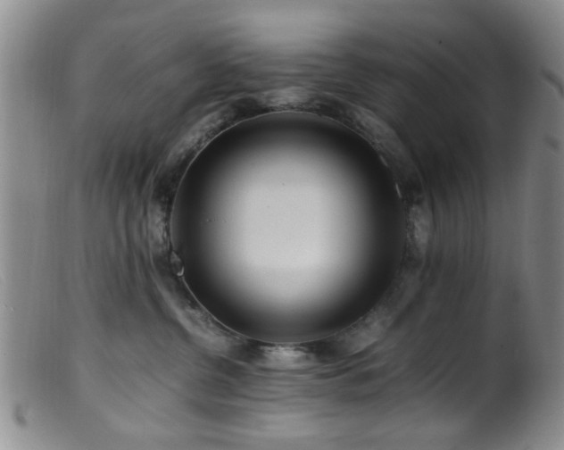 X0000099460380200805161053