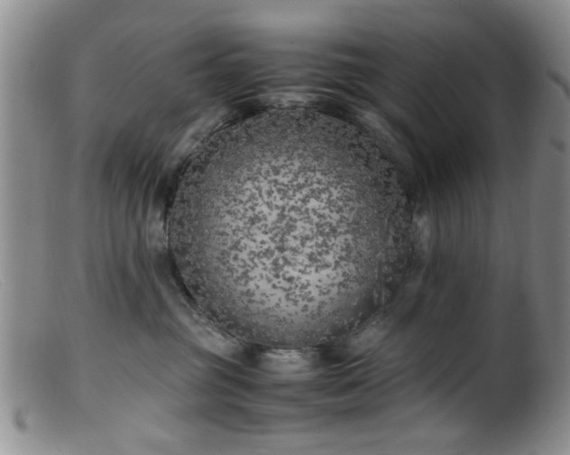 X0000099460381200805161053