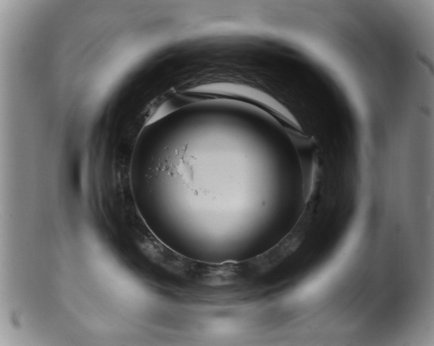 X0000099460382200805161053