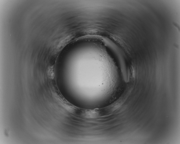 X0000099460383200805161053