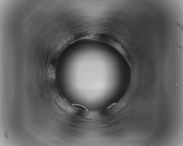 X0000099460384200805161053