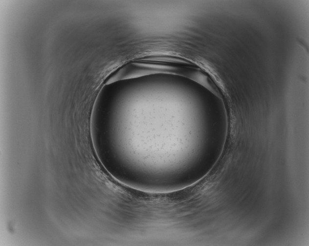 X0000099460385200805161052