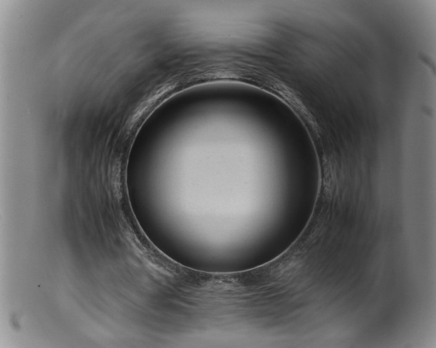 X0000099460386200805161052