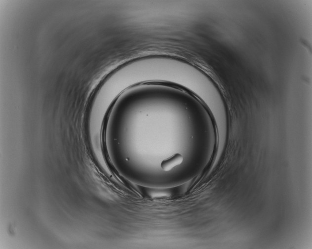 X0000099460387200805161052