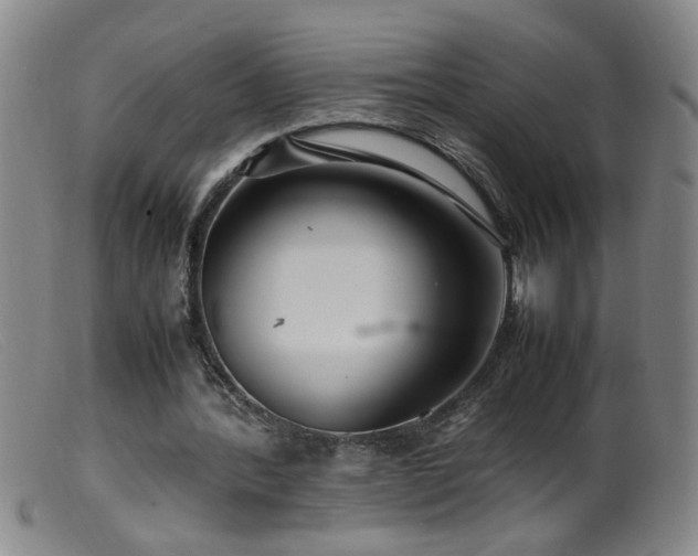 X0000099460388200805161052