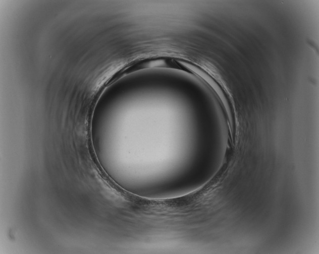 X0000099460389200805161052