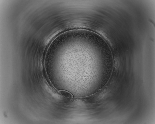 X0000099460390200805161052