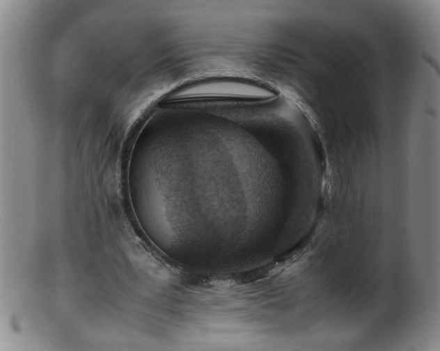 X0000099460391200805161052