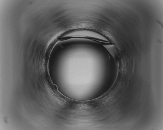 X0000099460392200805161052