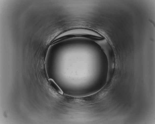 X0000099460393200805161052