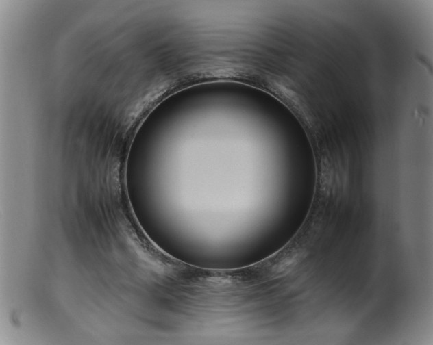 X0000099460394200805161052