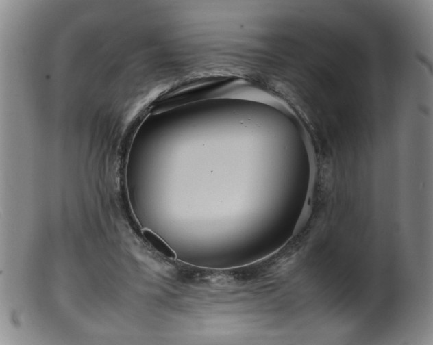 X0000099460395200805161052