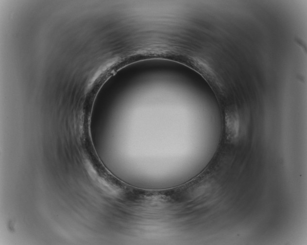 X0000099460396200805161052