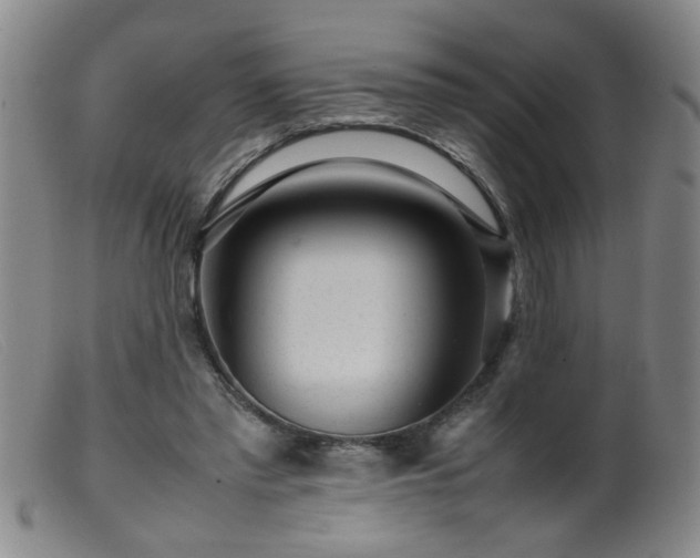 X0000099460397200805161052