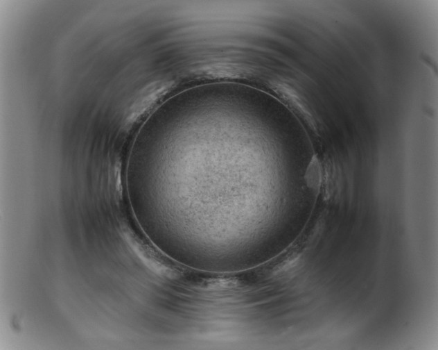 X0000099460398200805161052