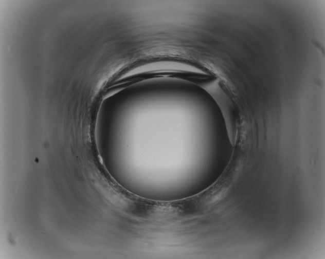 X0000099460399200805161052