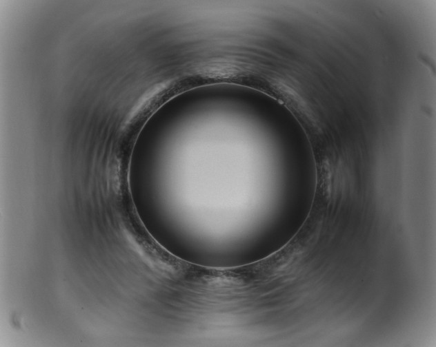 X0000099460400200805161052