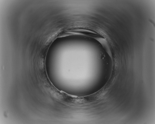 X0000099460401200805161052