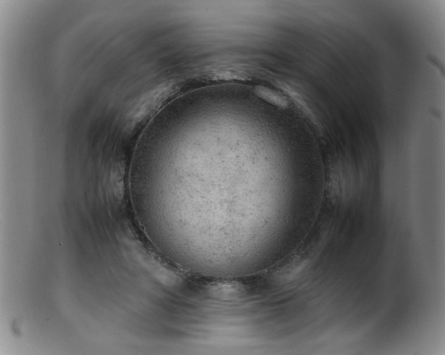 X0000099460402200805161052