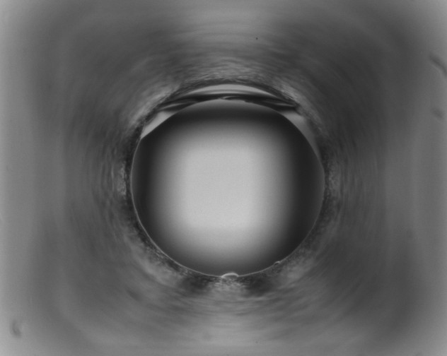 X0000099460403200805161052