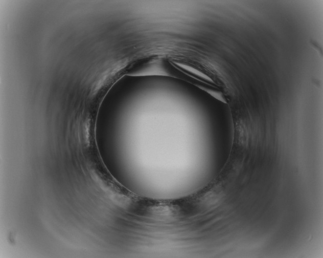 X0000099460404200805161052