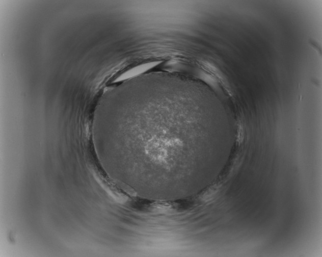 X0000099460405200805161052