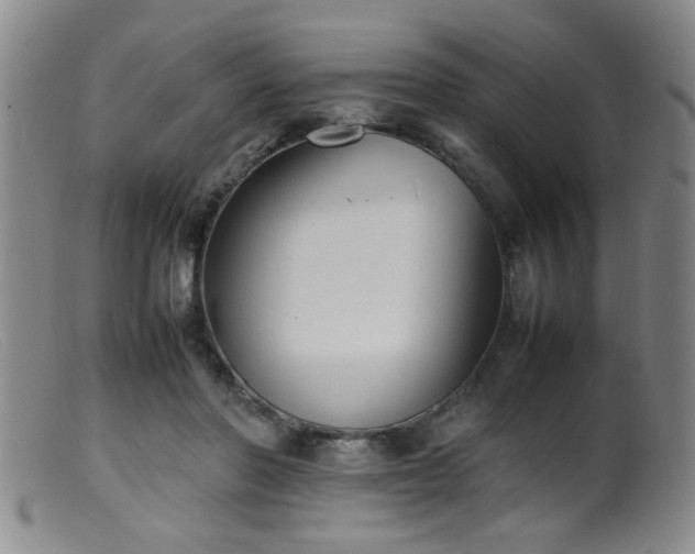 X0000099460406200805161052