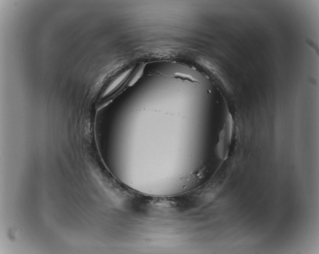 X0000099460407200805161052