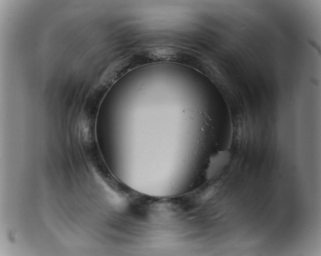 X0000099460408200805161052