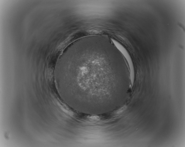 X0000099460409200805161052