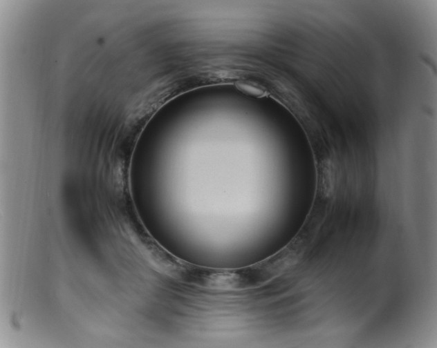 X0000099460410200805161052