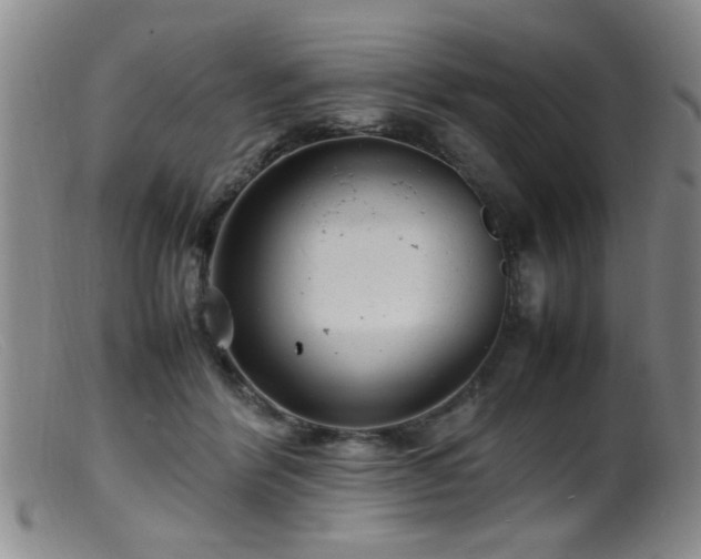 X0000099460412200805161052