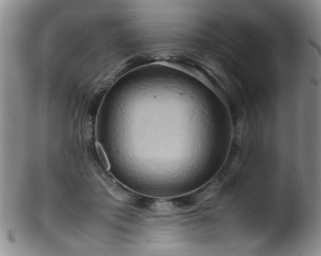 X0000099460413200805161052