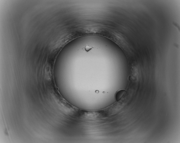 X0000099460414200805161052