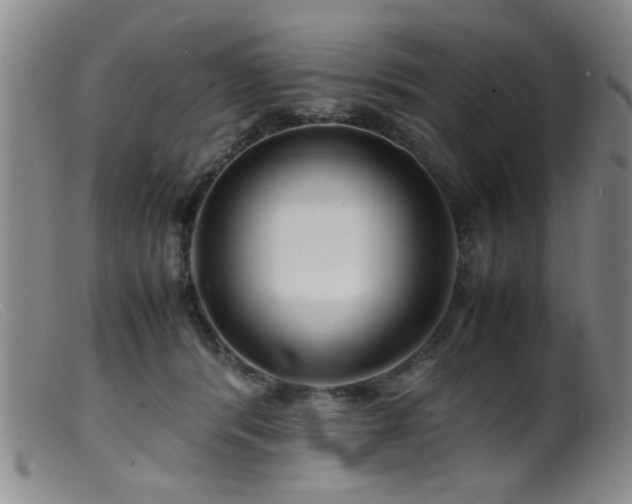 X0000099460416200805161052