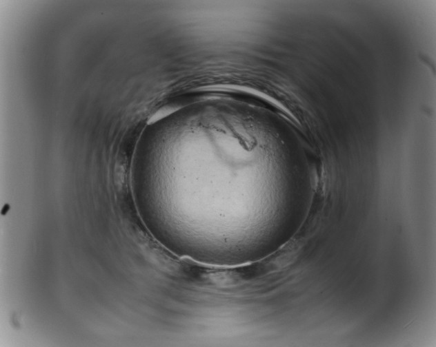 X0000099460417200805161052