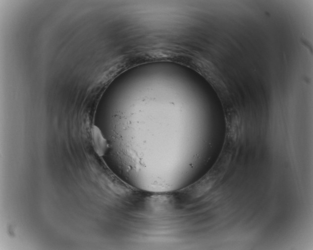 X0000099460418200805161052