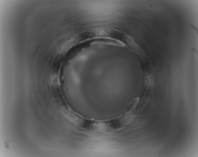 X0000099460419200805161052