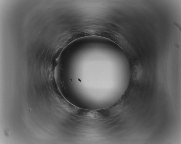 X0000099460420200805161052