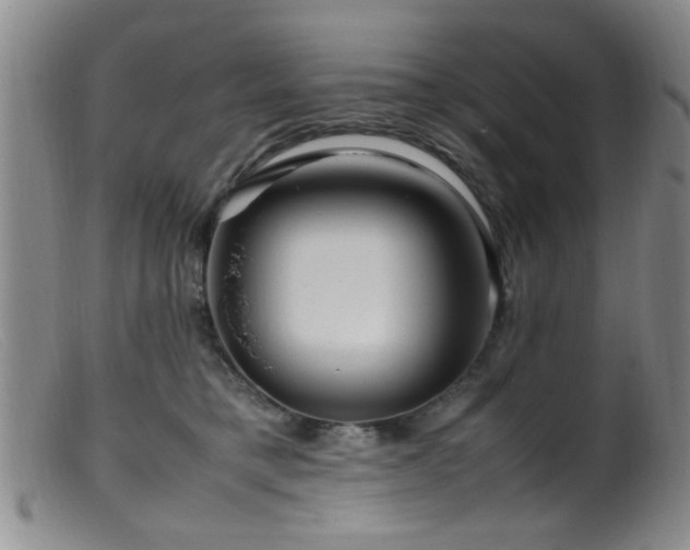 X0000099460421200805161052