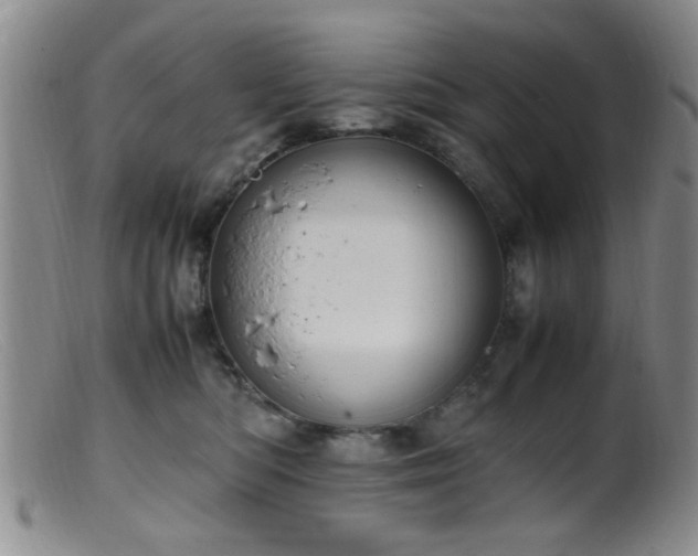 X0000099460422200805161052