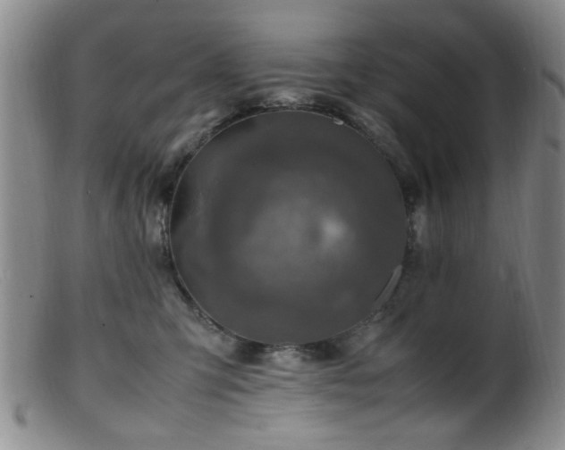 X0000099460423200805161052