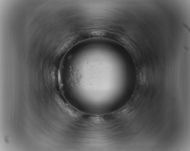 X0000099460424200805161052