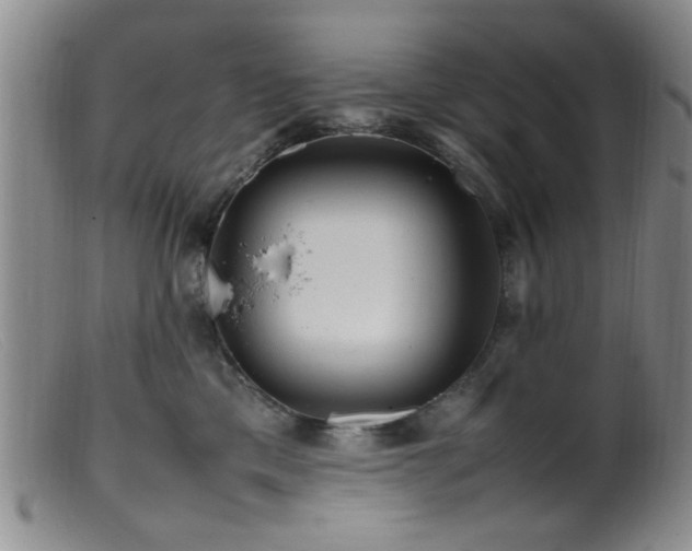 X0000099460425200805161052