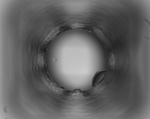 X0000099460426200805161051