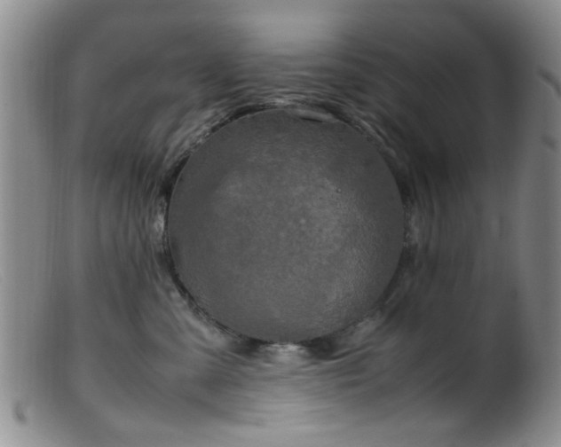 X0000099460427200805161051