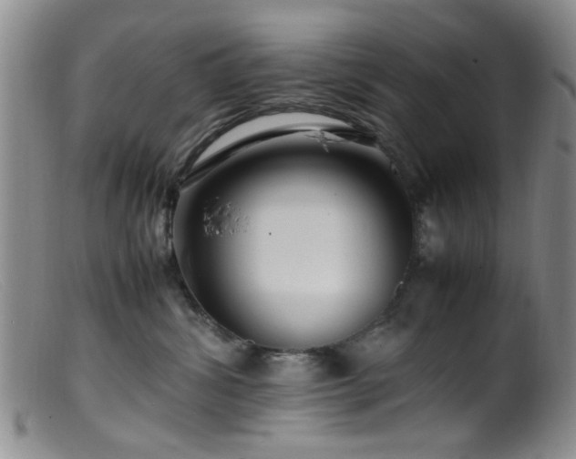 X0000099460428200805161051