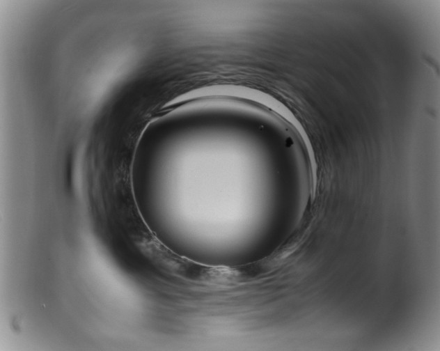 X0000099460429200805161051