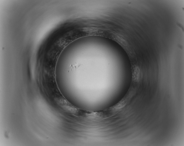 X0000099460430200805161051