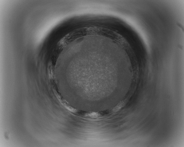 X0000099460431200805161051